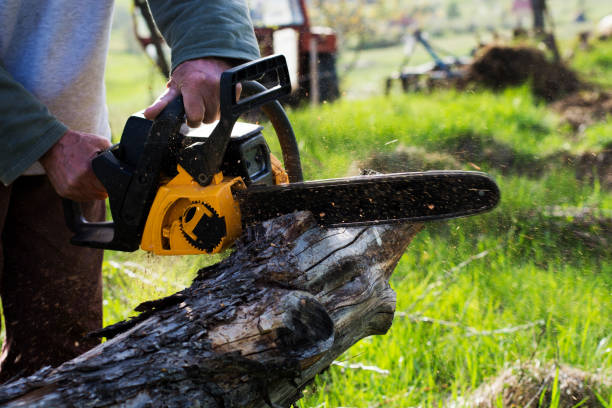 Lawn Maintenance Plans in Phillips, WI